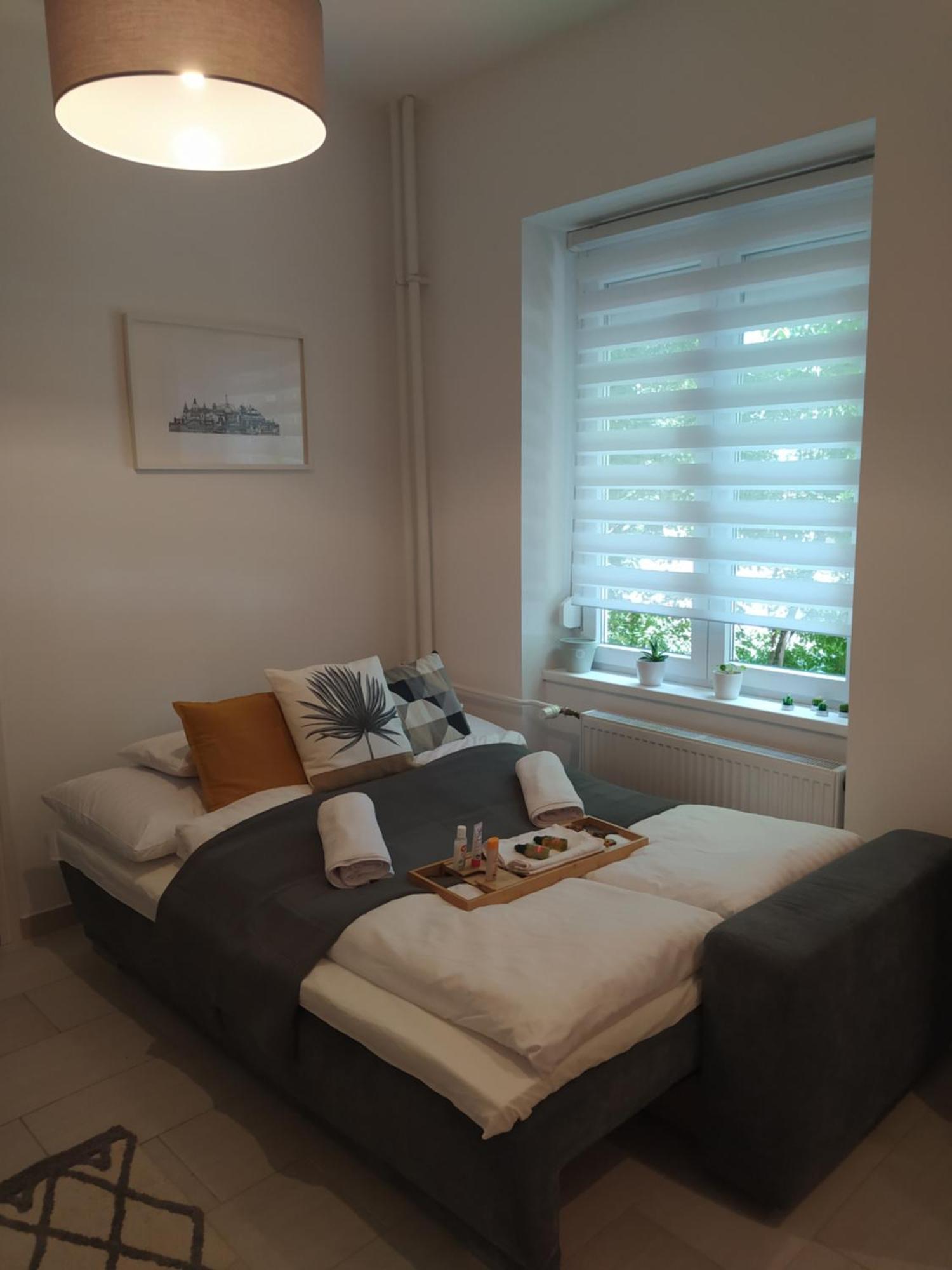 בודפשט Lady Mabel'S Apartment Near To Arena, Puskas Stadion And City Park, With Guarded Parking Place מראה חיצוני תמונה