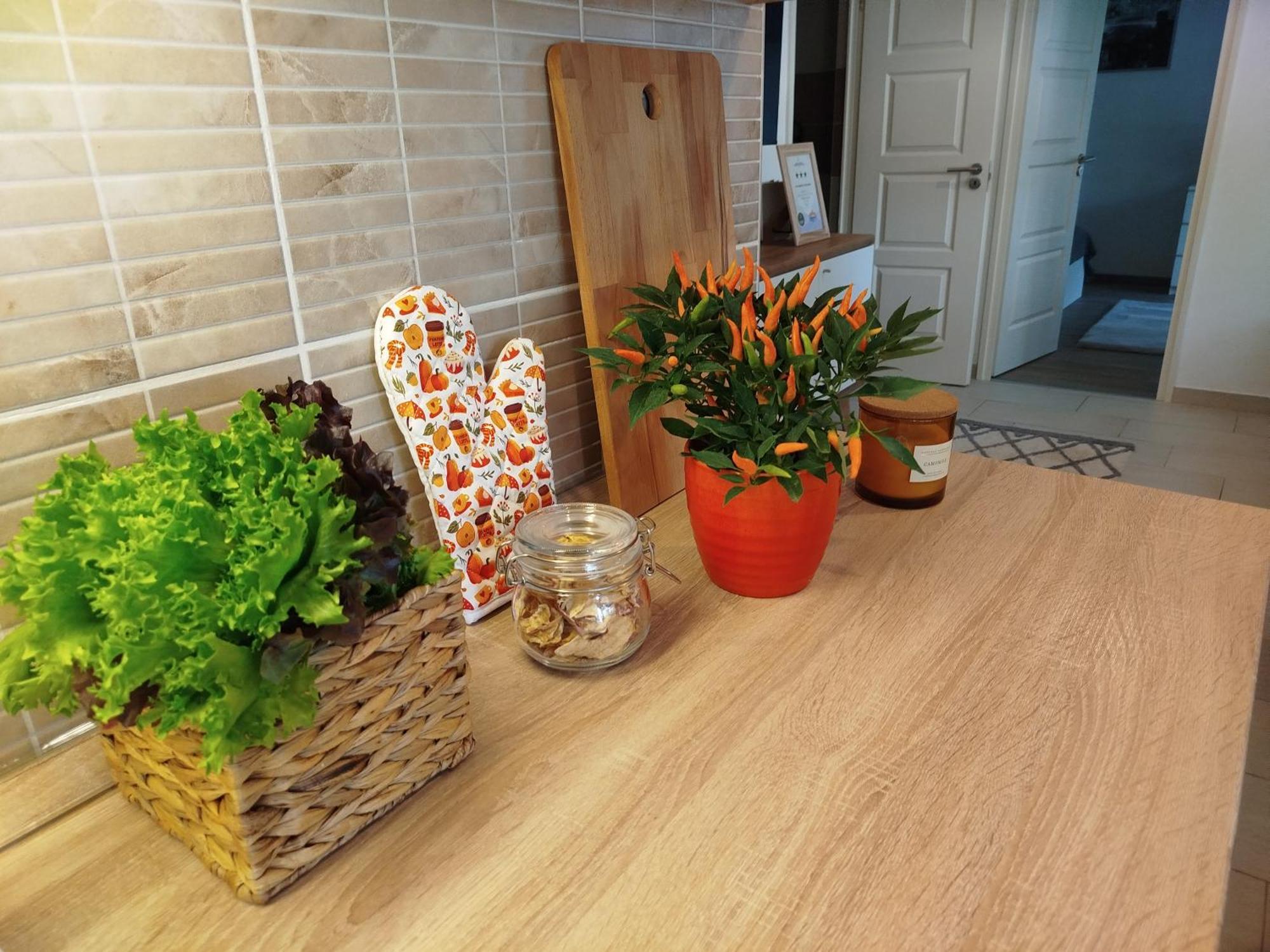 בודפשט Lady Mabel'S Apartment Near To Arena, Puskas Stadion And City Park, With Guarded Parking Place מראה חיצוני תמונה